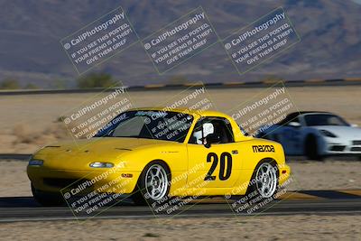 media/Nov-23-2024-Nasa (Sat) [[59fad93144]]/HPDE 1-2/Session 3 Turn 4 Tree of Life/